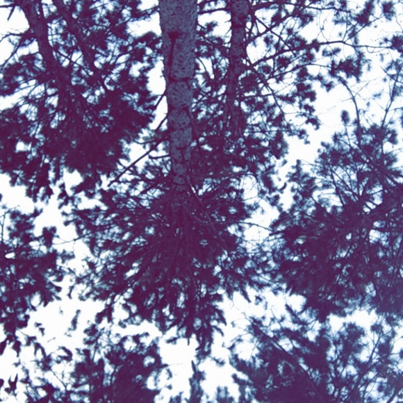 gabiwilson33
